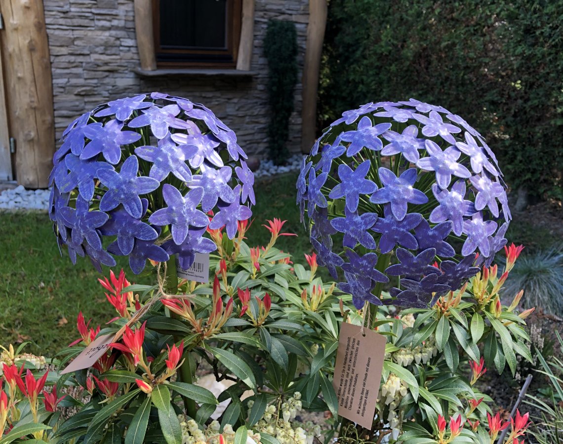 Garten Blumen Allium Blütenkugel " Purple Terrasse " Deko Art Ferro Handarbeit  